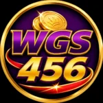WGS456 Game